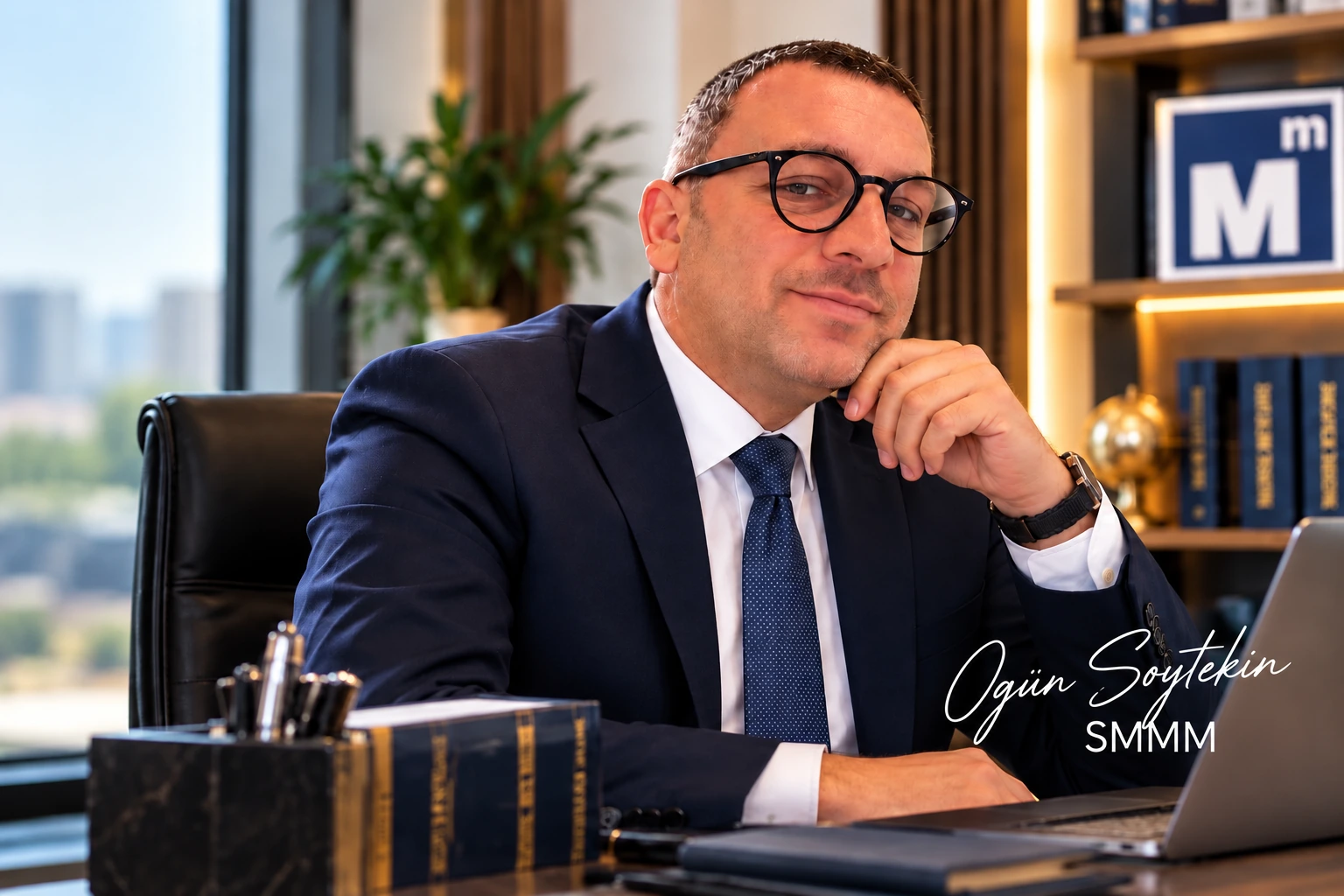 Ogün Soytekin, Serbest Muhasebeci Mali Müşavir